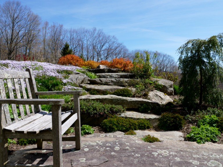 Rock Garden Sittting Area in Early Spring