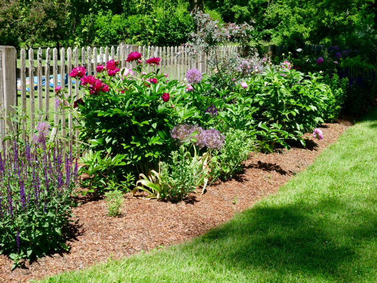 Sunny Late Spring Garden