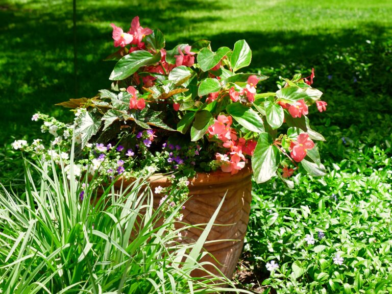 Shade Container Garden in Garden Bed