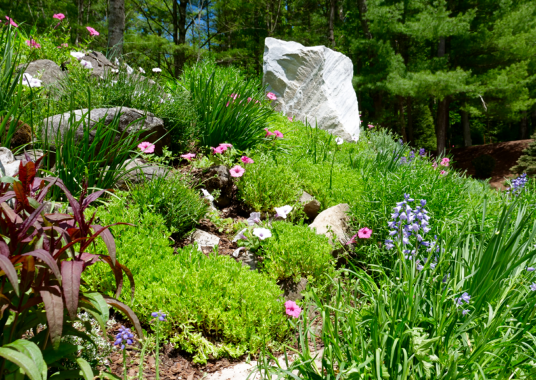 Rock Garden with Annual Color