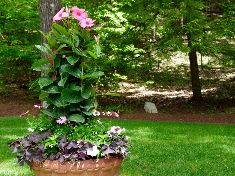 Pink and Purple Theme Container Garden