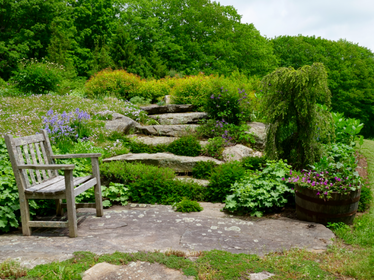 Rock Garden Sitting Area
