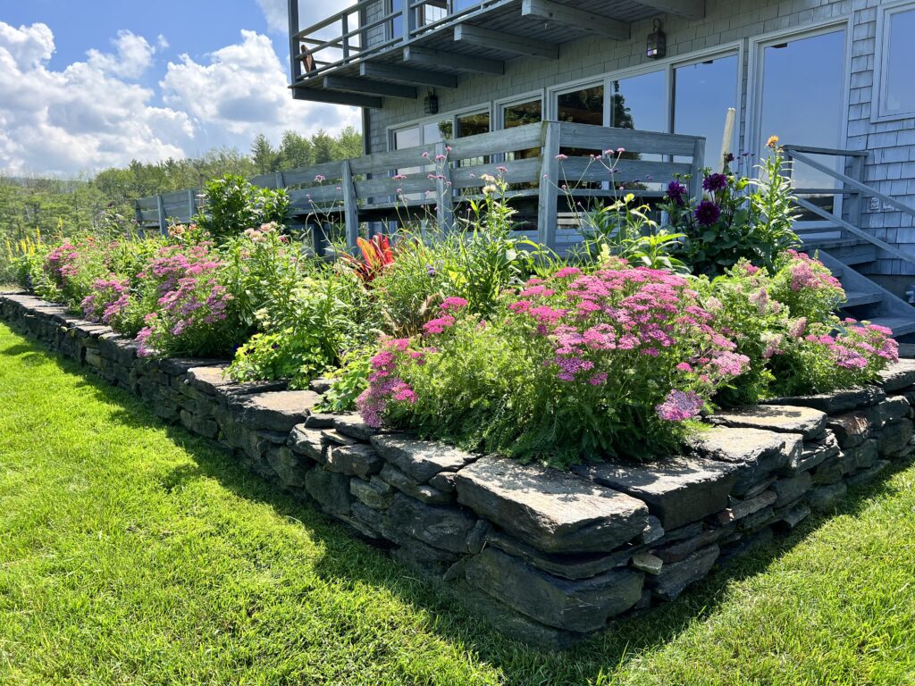 Colorful Small Garden