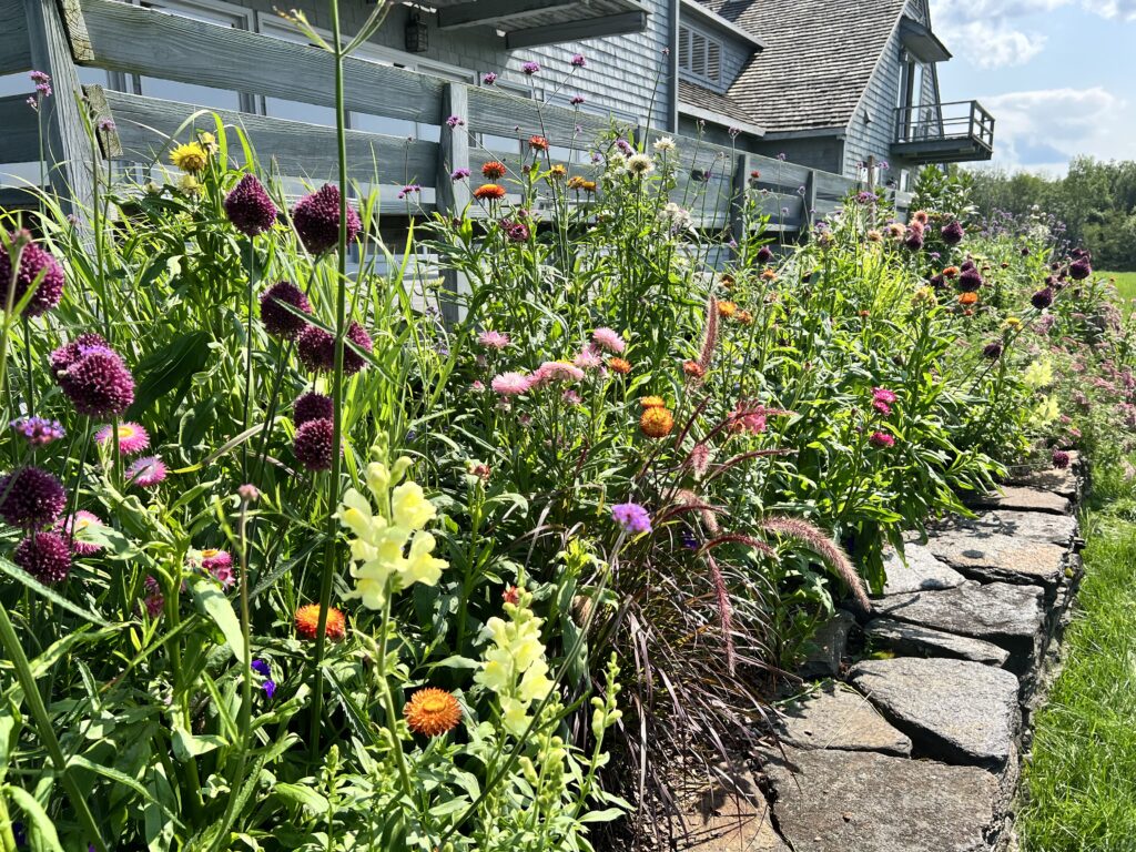 Deck-side Garden