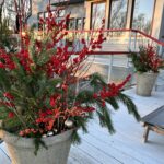 Holiday Pots for Winter
