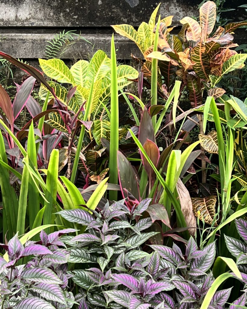 Shade Garden Colors