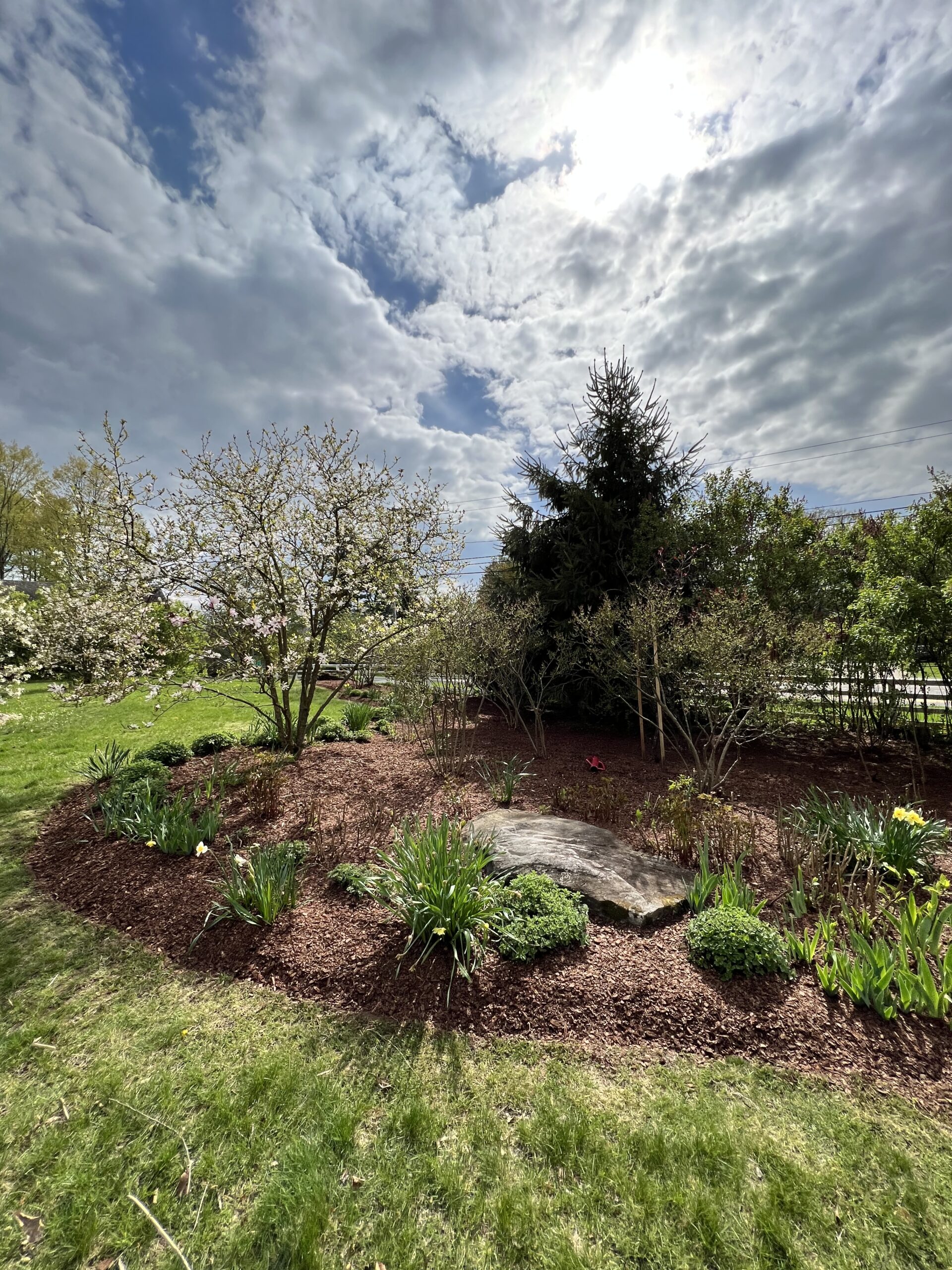 Spring Garden Renovation