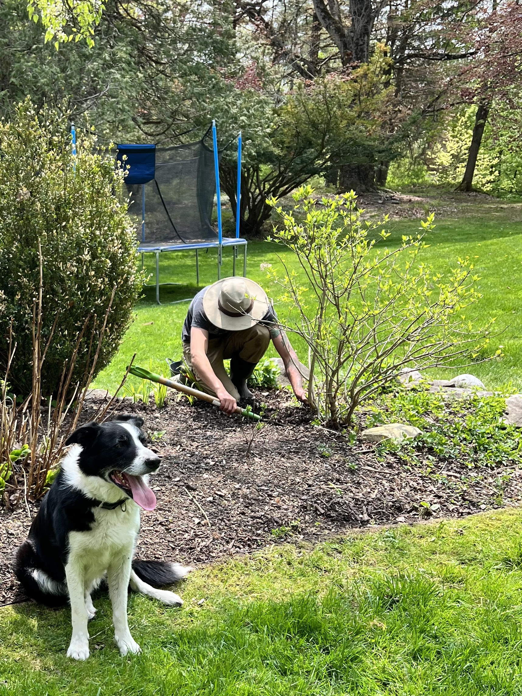 Spring Garden Maintenance