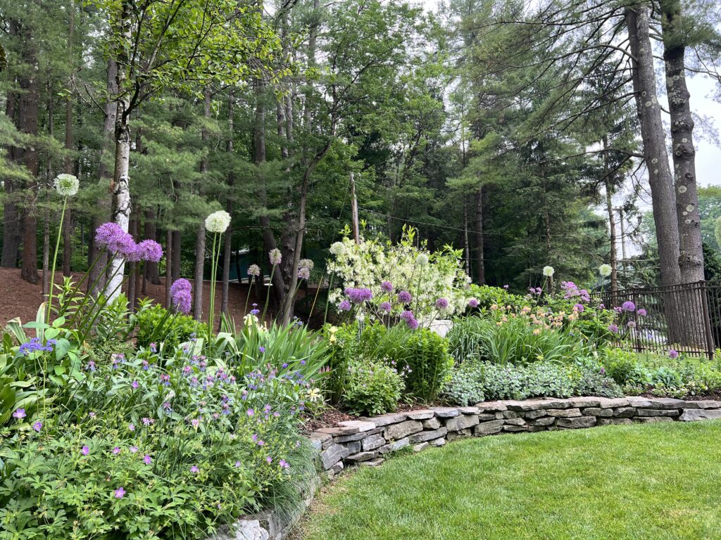 Early summer garden