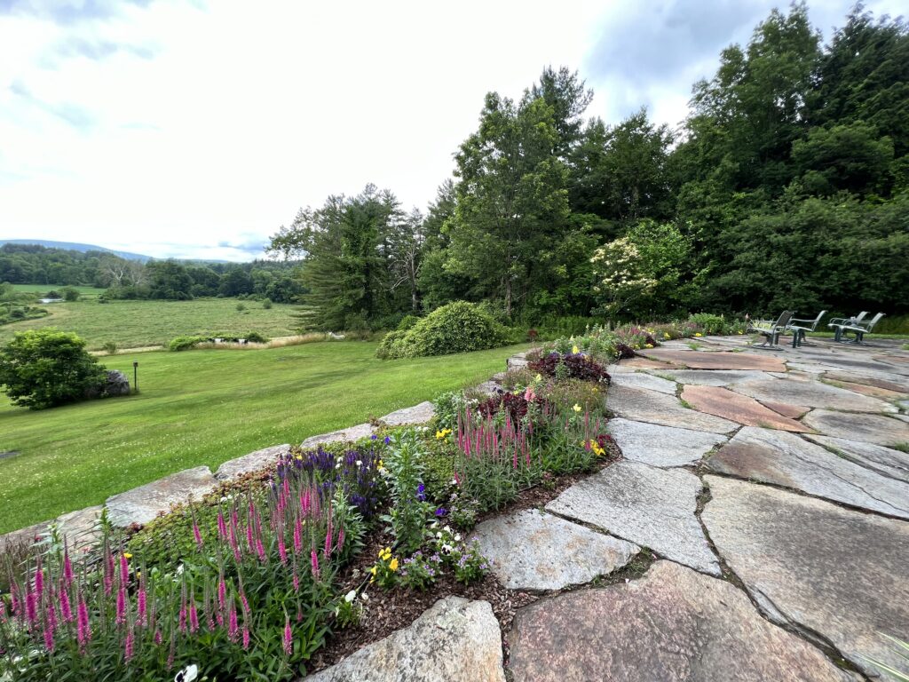 Patio Garden Space