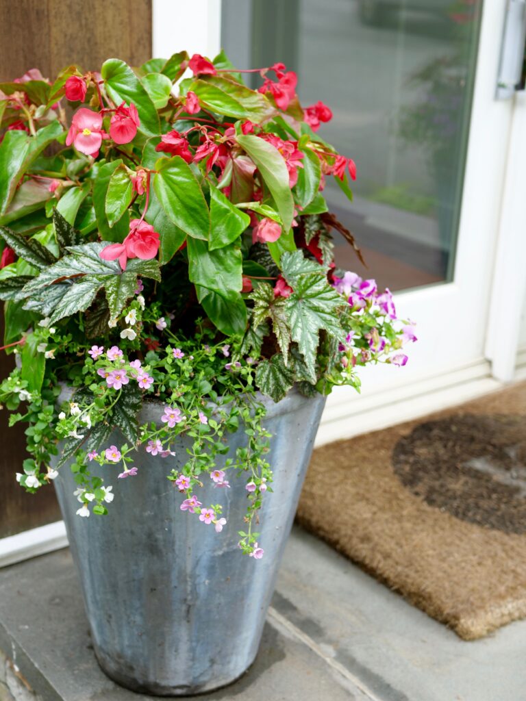Read more about the article Summer Flower Pots