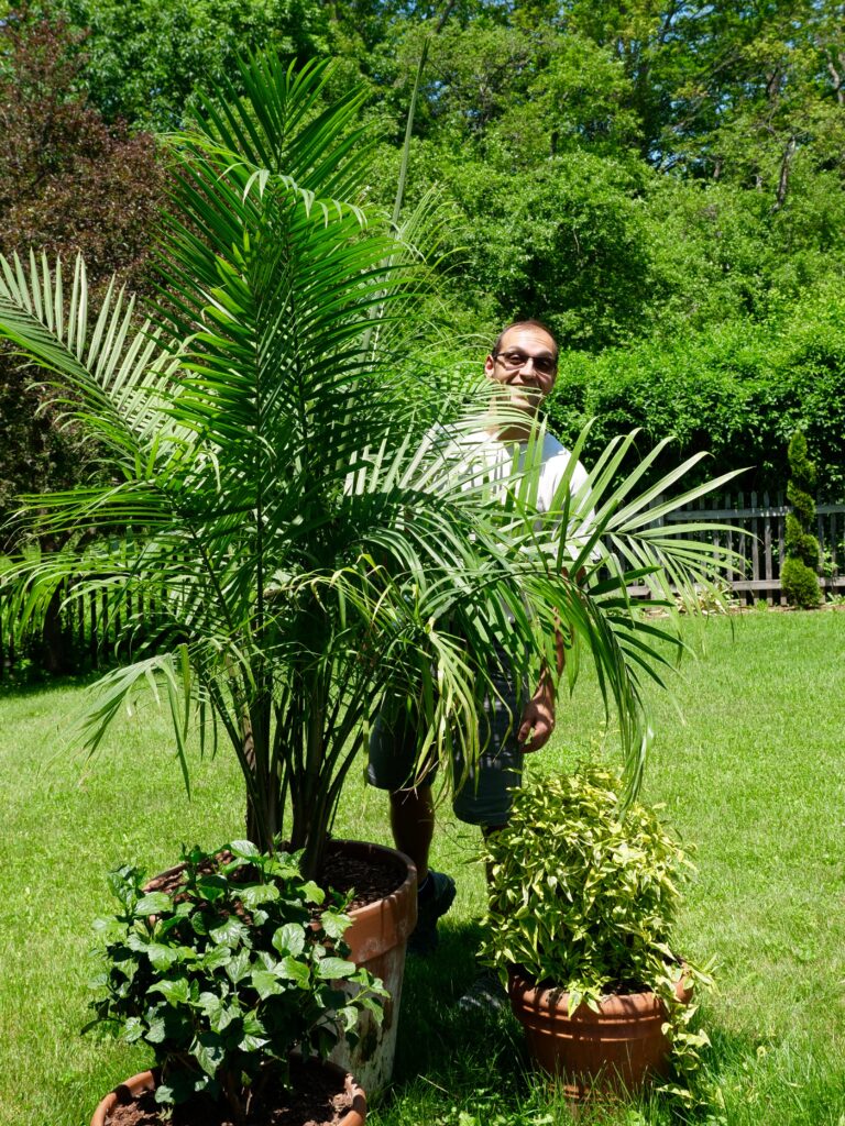 Generoso with a grouping of summer pots