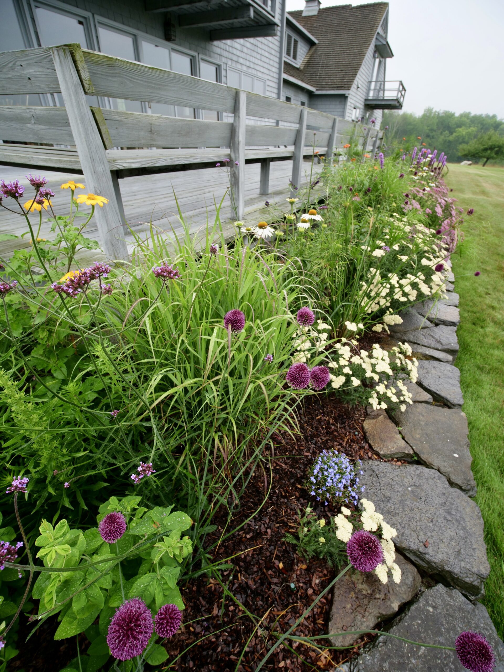 Read more about the article How to Use Annuals in Your Perennial Garden for Superior Summer Color