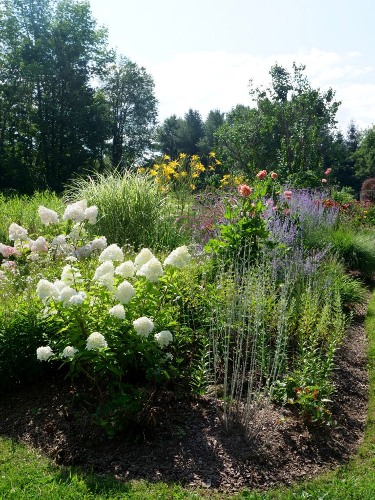 Summer Field Garden in the Berkshires