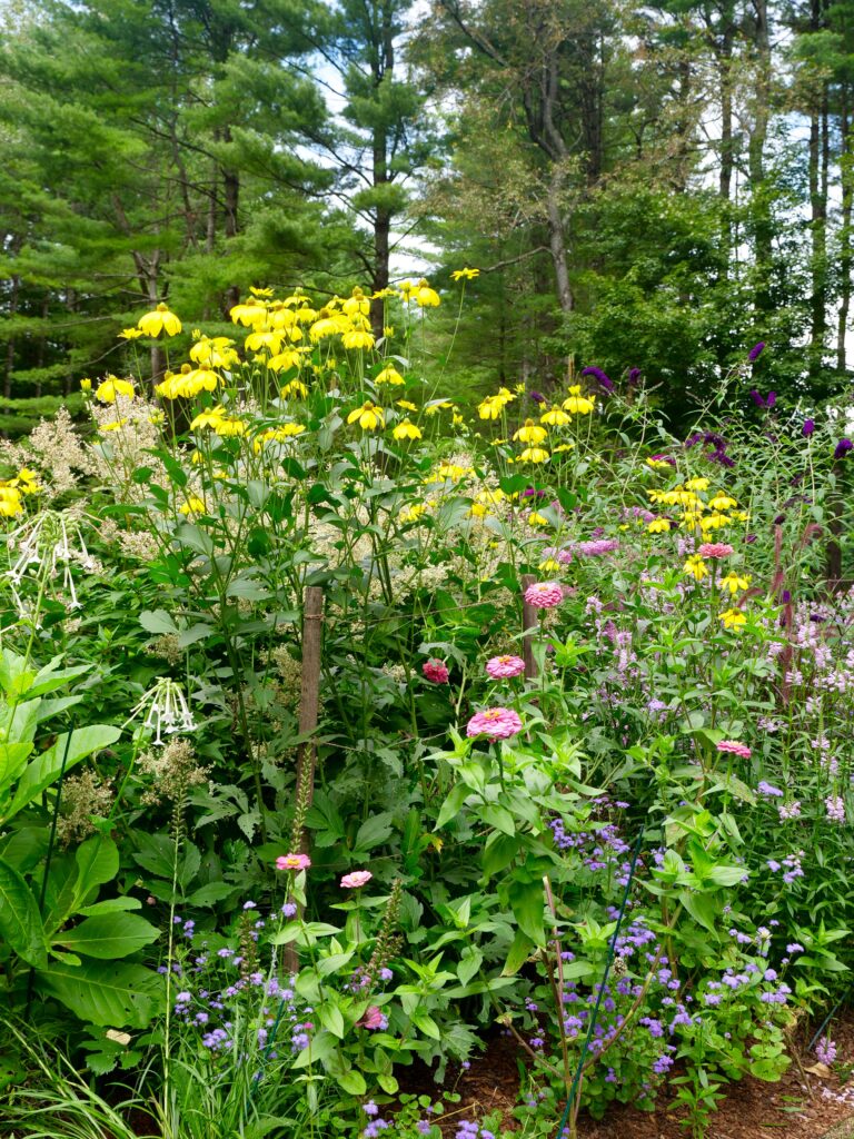 Colorful Late Summer Berkshire Garden