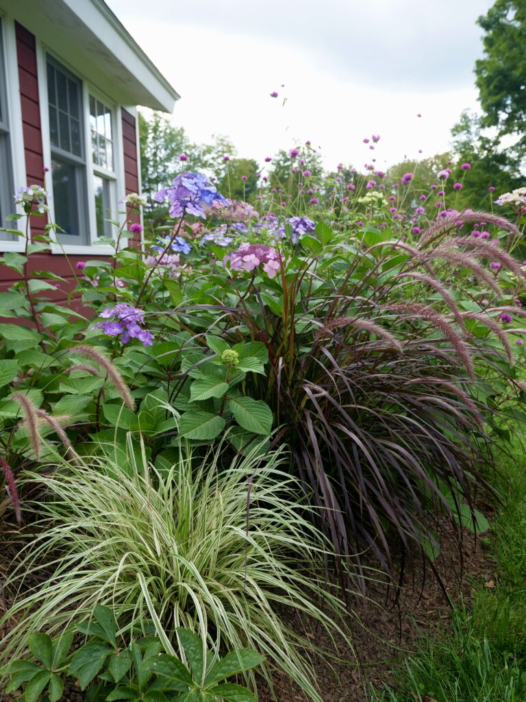 Fall Garden with Annuals