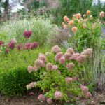 Fall Garden Interest