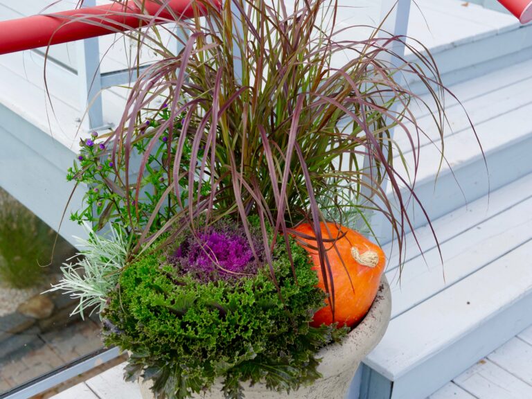 Fall Pot with Pumpkin and Cabbage