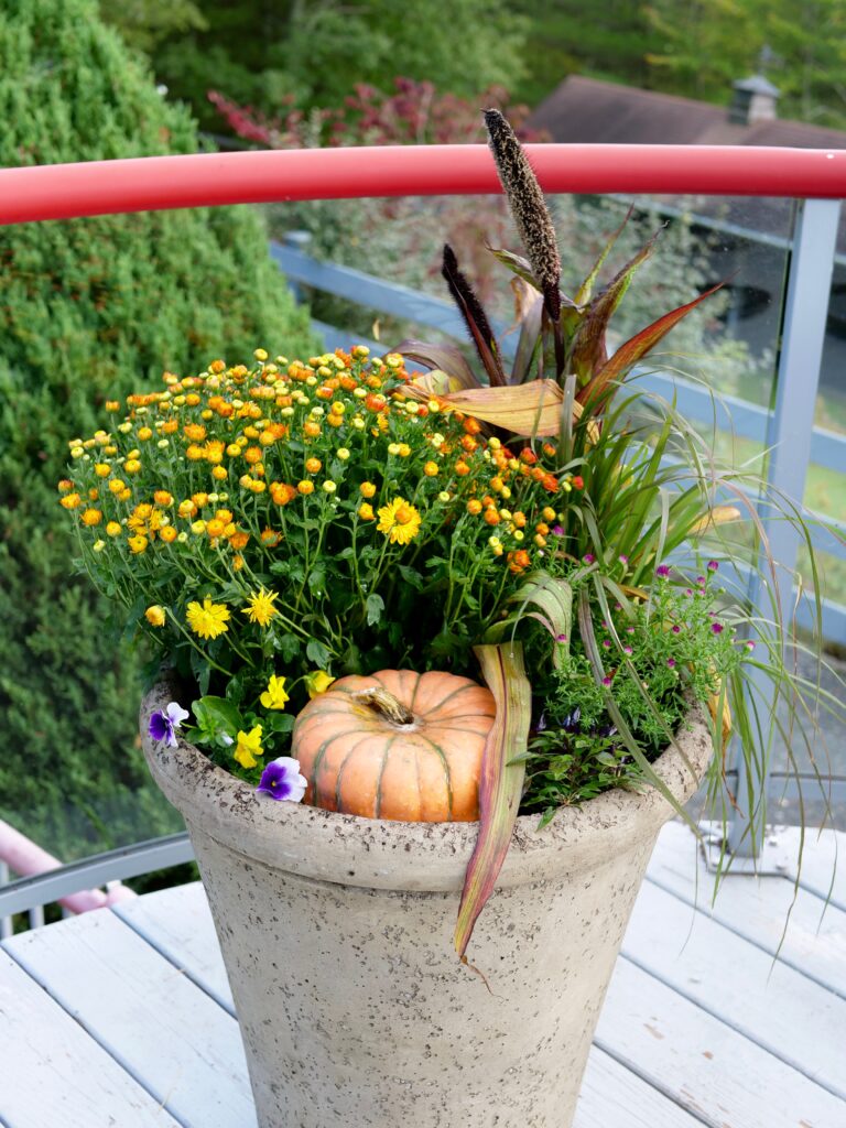 Festive Fall Pot with Pumpkin