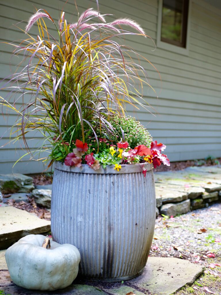 Purple Grasses and Red Mums with Pumpkin