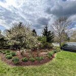 How to Do a Spring Cleanup